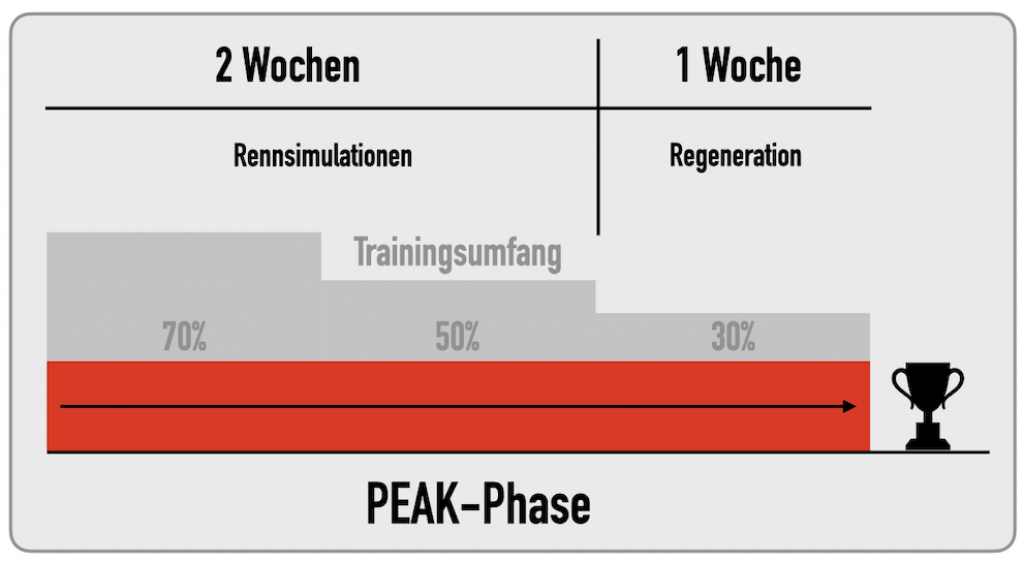 Individuelle Trainingsplanung: Peak-Phase Abbildung 2